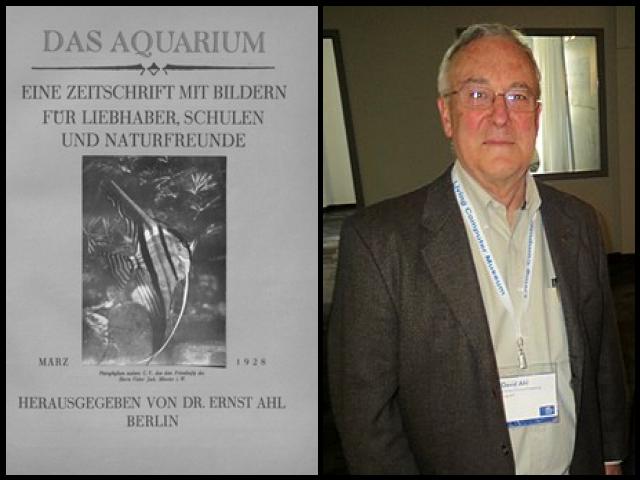 Famous People with surname Ahl