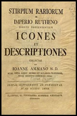 Famous People with surname Amman