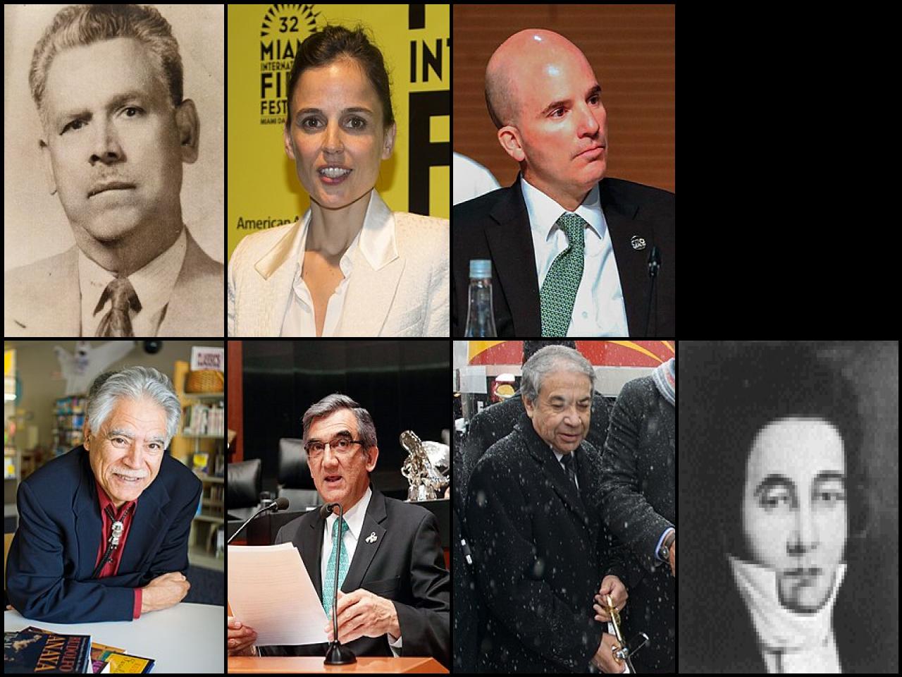 Famous People with surname Anaya