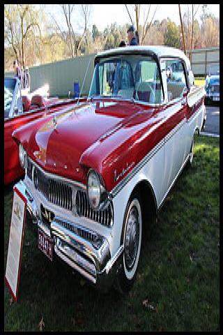 Famous People with surname Anis