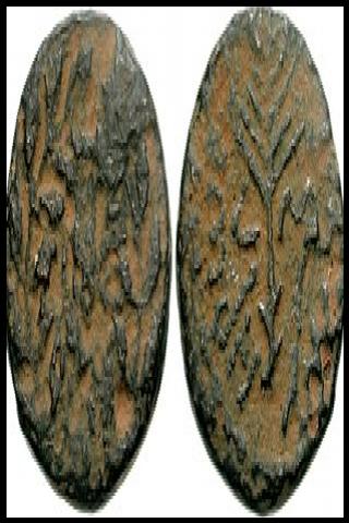 Famous People with surname Antipas