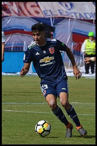 Famous People with surname Araos