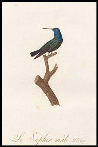 Famous People with surname Audebert