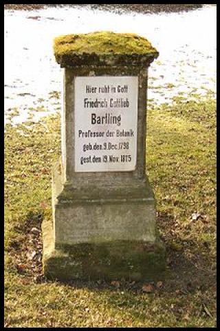 Famous People with surname Bartling