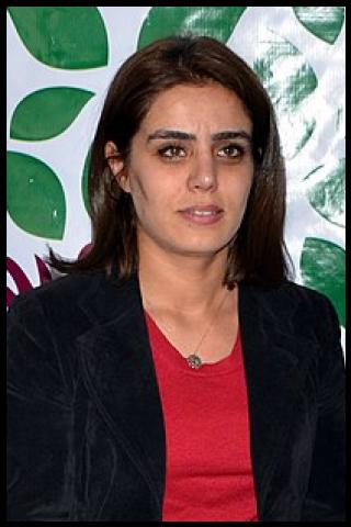 Famous People with surname Başaran