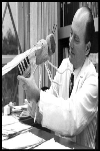 Famous People with surname Benzer