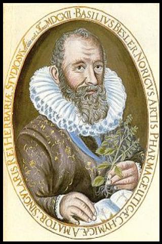 Famous People with surname Besler