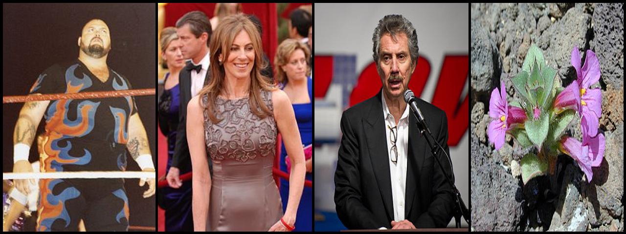 Famous People with surname Bigelow