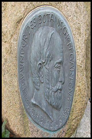 Famous People with surname Blasius