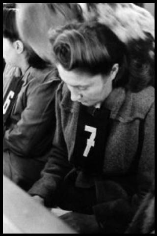 Famous People with surname Bosel