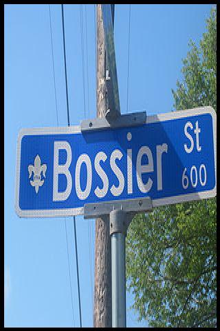 Famous People with surname Bossier