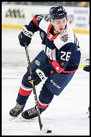 Famous People with surname Br&auml;nnstr&ouml;m