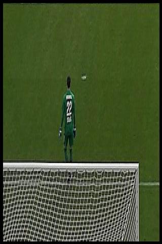 Famous People with surname Brignoli