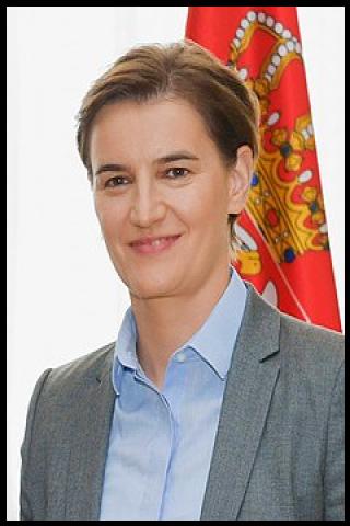 Famous People with surname Brnabić