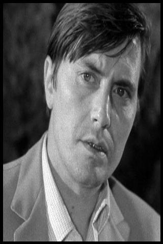 Famous People with surname Brogi