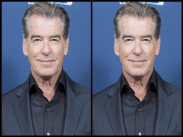 Famous People with surname Brosnan