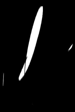 Famous People with surname Bruzon