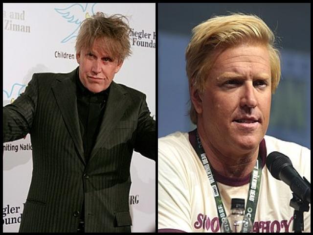Famous People with surname Busey