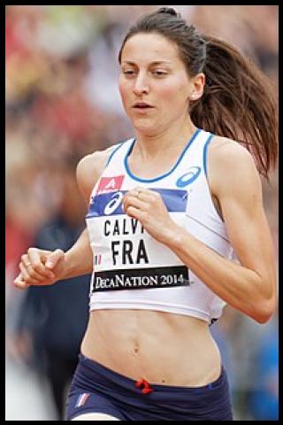 Famous People with surname Calvin