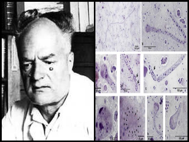 Famous People with surname Chatton