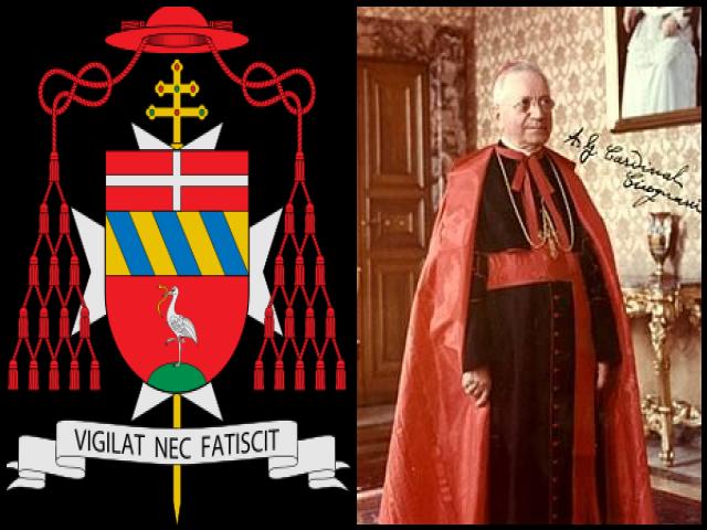 Famous People with surname Cicognani