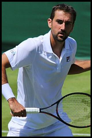 Famous People with surname Cilić