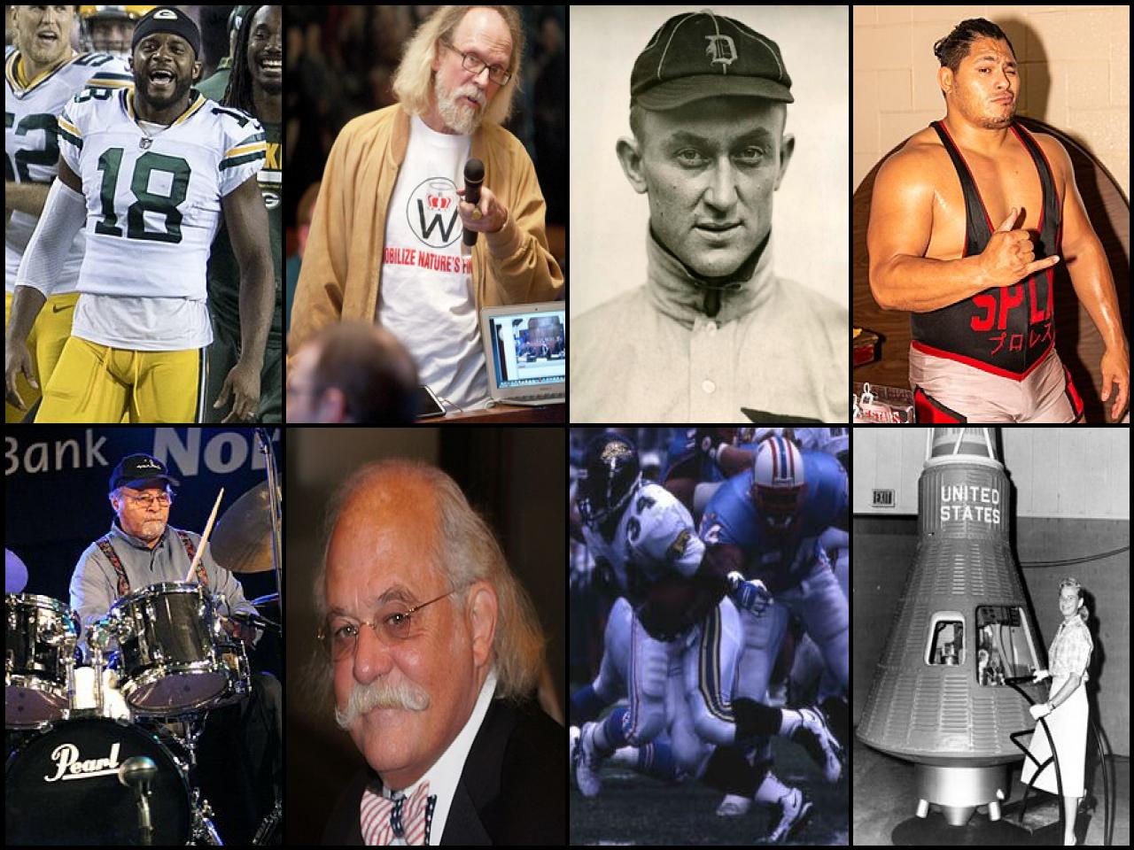 Famous People with surname Cobb