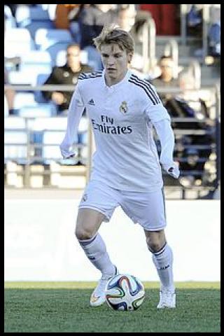 Famous People with surname &Oslash;degaard