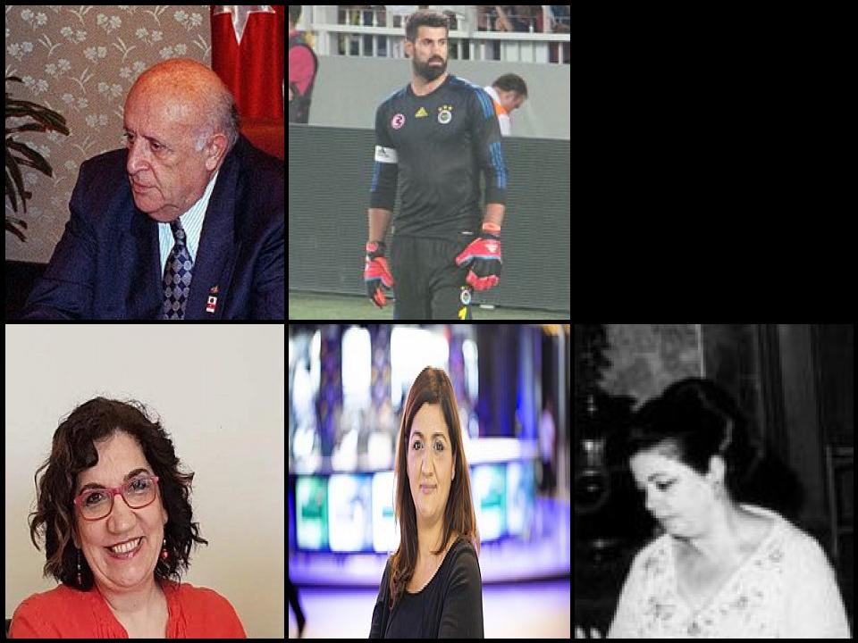 Famous People with surname Demirel