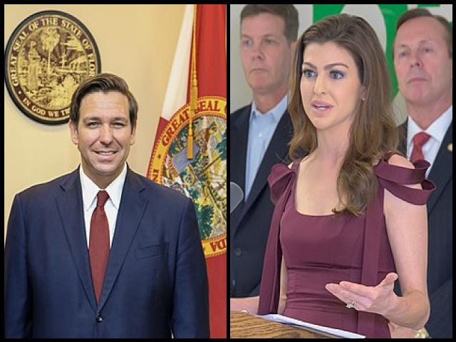 Famous People with surname Desantis