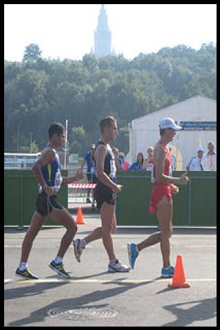 Famous People with surname Ding