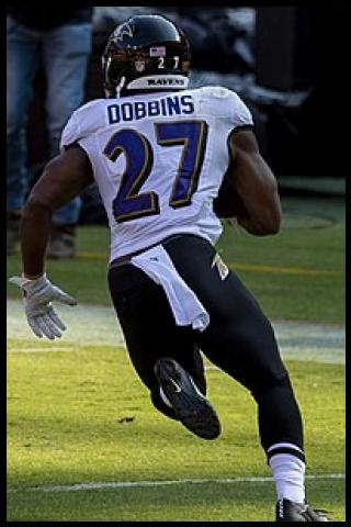 Famous People with surname Dobbins