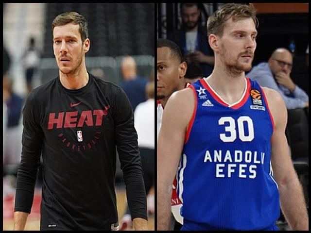 Famous People with surname Dragić
