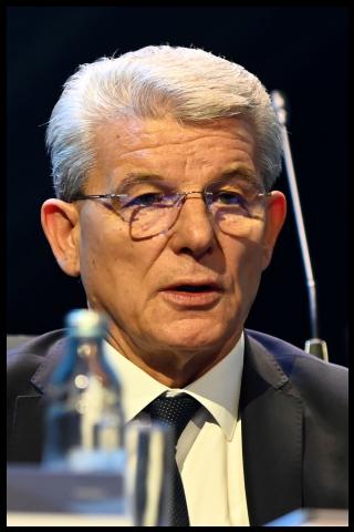 Famous People with surname Džaferović