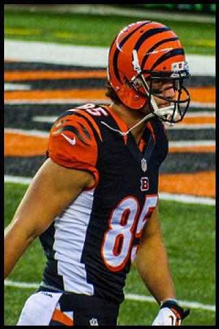 Famous People with surname Eifert