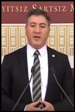 Famous People with surname Emir