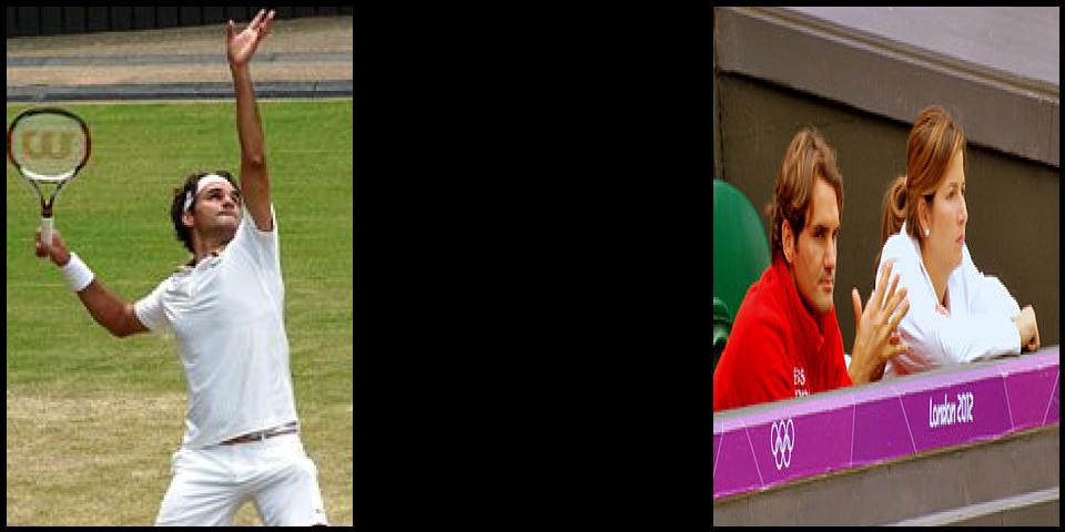 Famous People with surname Federer