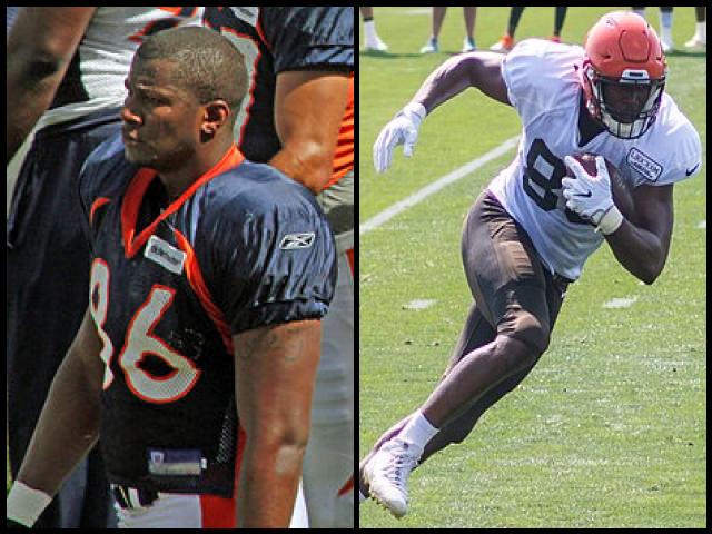 Famous People with surname Fells