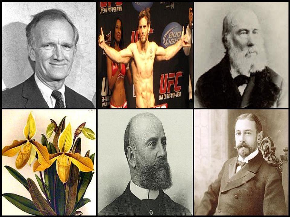 Famous People with surname Fitch