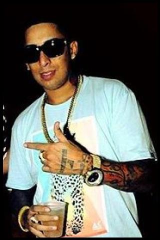 Famous People with surname Flow