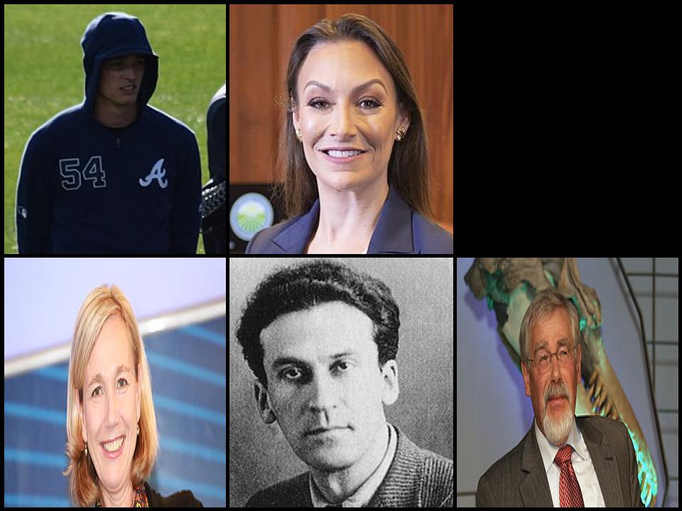 Famous People with surname Fried