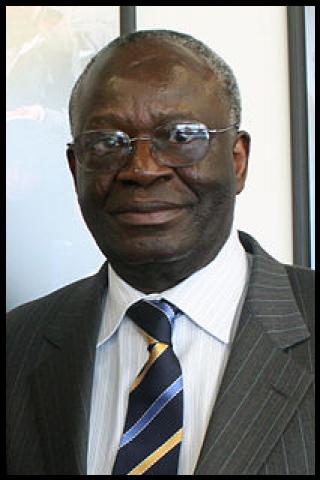 Famous People with surname Gambari