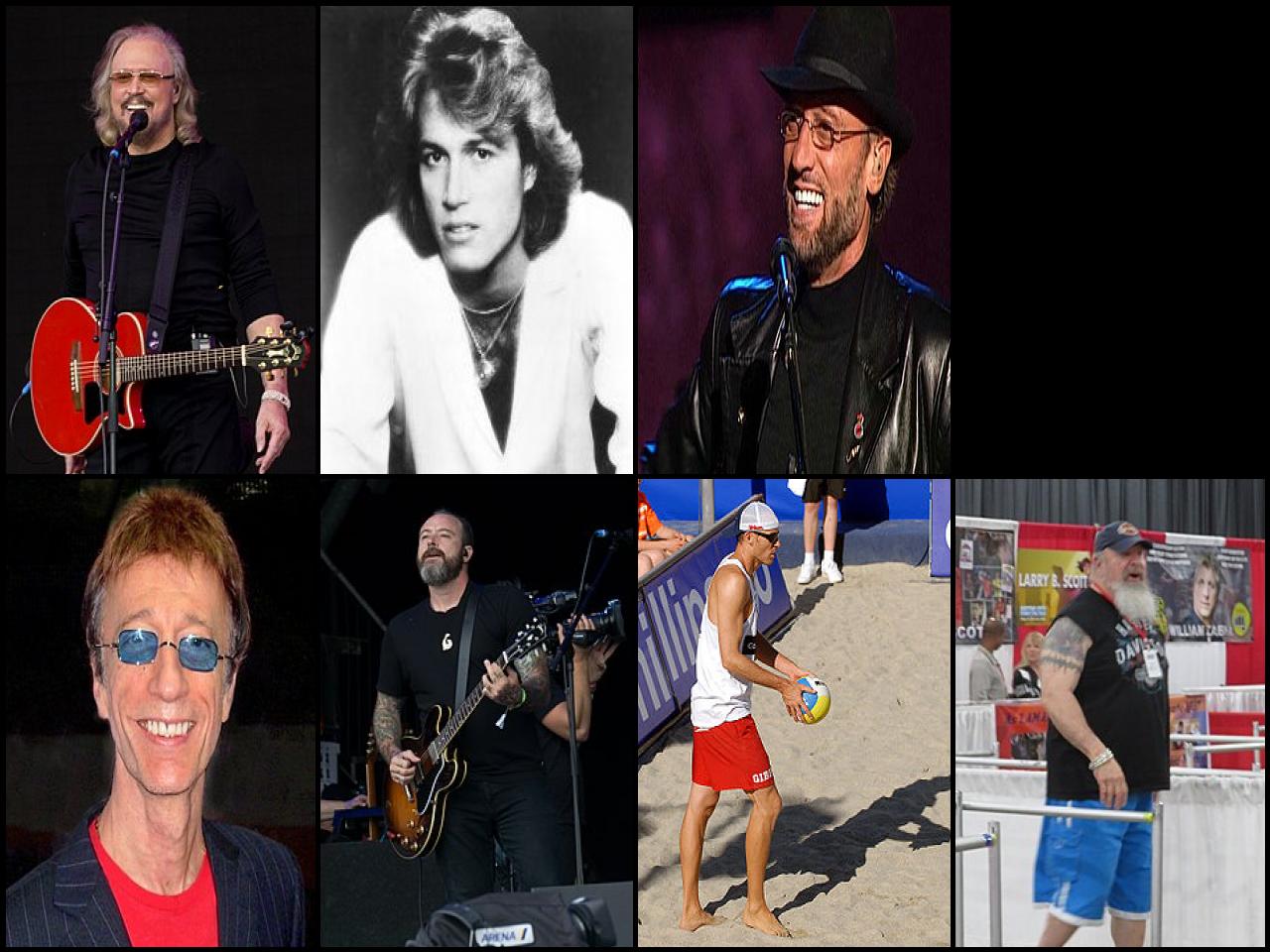 Famous People with surname Gibb