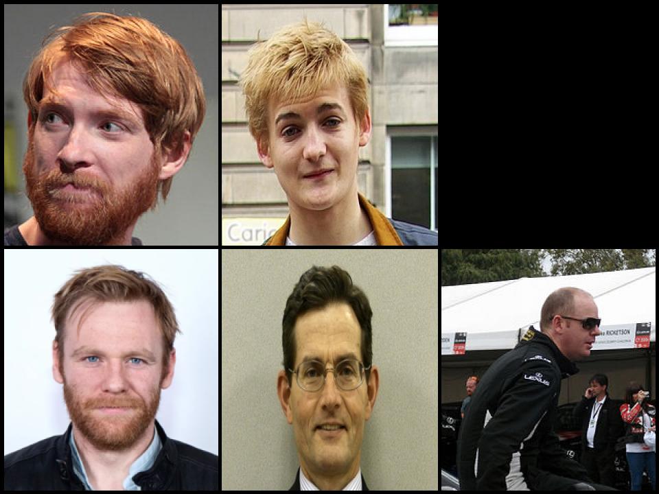 Famous People with surname Gleeson