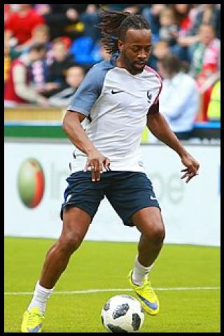 Famous People with surname Govou