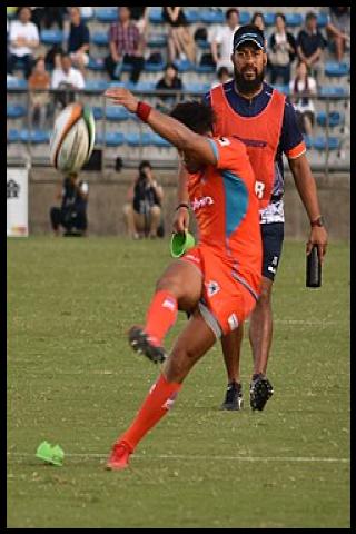 Famous People with surname Goya