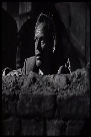 Famous People with surname Greenbaum