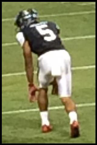 Famous People with surname Griffey