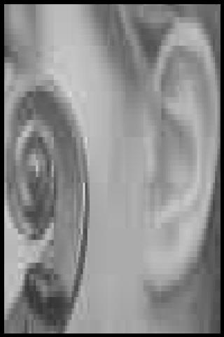 Famous People with surname Guarneri