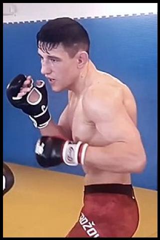 Famous People with surname Hadžović